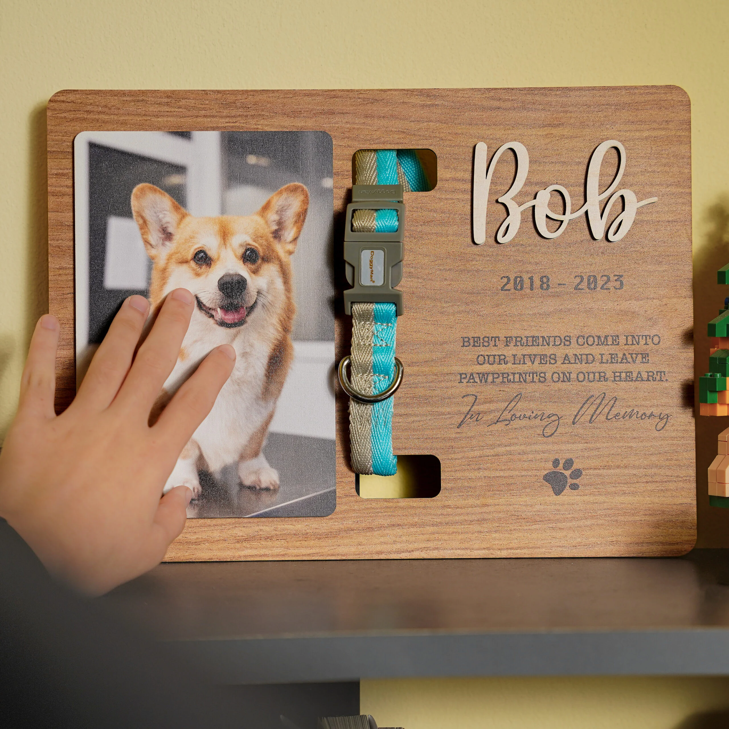 Pet Loss Gift