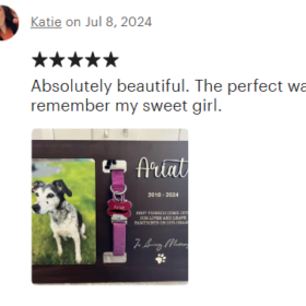 Screenshot 2024-07-10 173758