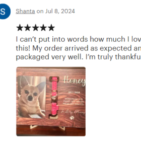 Screenshot 2024-07-10 173831