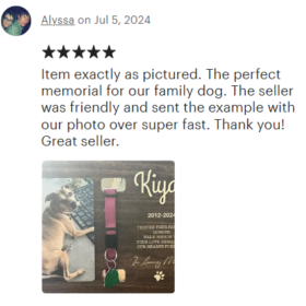 Screenshot 2024-07-10 174012