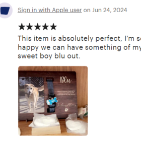 Screenshot 2024-07-10 174752